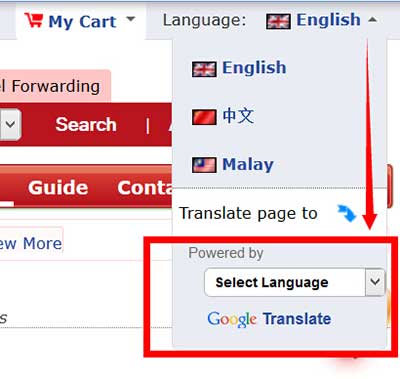 translate by using google